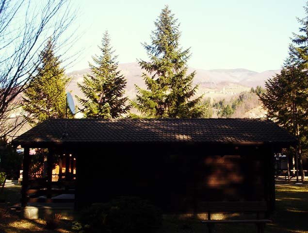 phoca_thumb_l_bungalow7